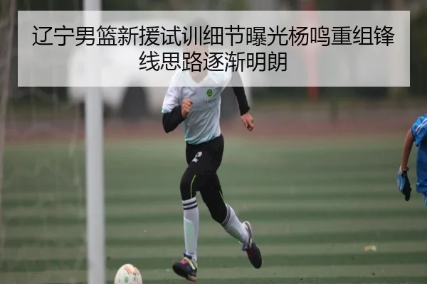 辽宁男篮新援试训细节曝光杨鸣重组锋线思路逐渐明朗